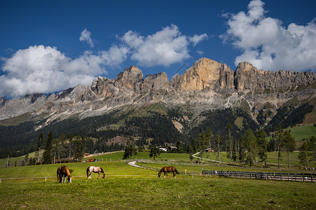 意大利阿尔卑斯山牧马牧场背景图片