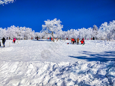 黑龙江雪乡美景背景图片