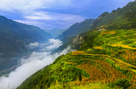 乌尔基格格所河峡谷秋色背景