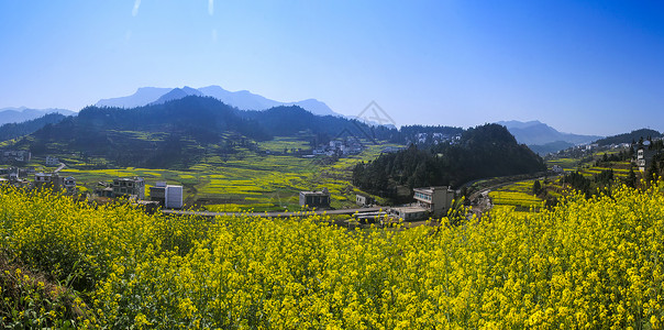 画春季如画村庄背景