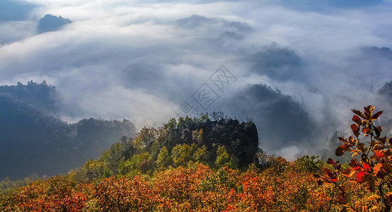 山薄雾金色雾海背景