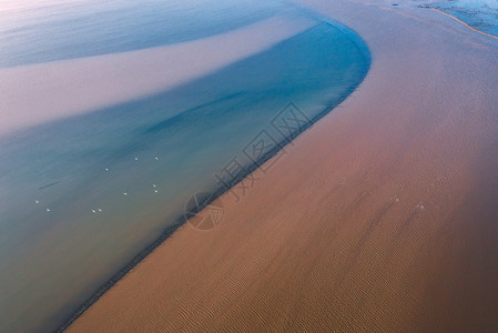 世界遗产黄海湿地背景图片