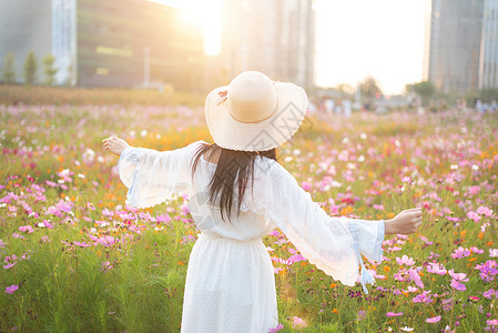 花海少女的背影背景图片