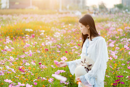 手拿花朵女孩手拿帽子的花海少女背景