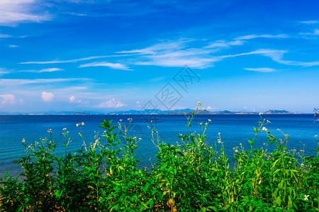 深圳大鹏新区杨梅坑风光背景