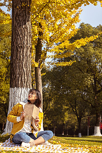 坐在银杏树下看书的甜美女孩背景图片