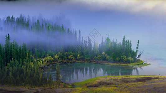 灶神神仙新疆喀纳斯神仙湾晨雾背景
