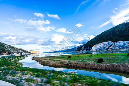 纳帕海草原湖畔背景图片