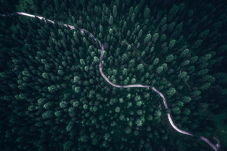 风滚草盐城保护区水上森林背景