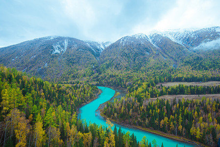 湖泊森林新疆喀纳斯月亮湾秋色背景