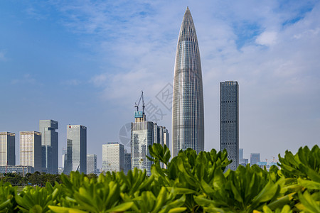 深圳春笋华润中心大厦背景图片