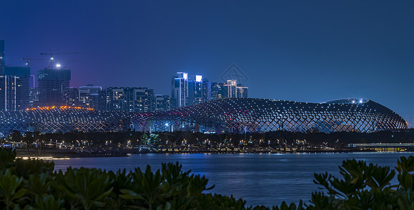 夜景深圳春茧体育图片