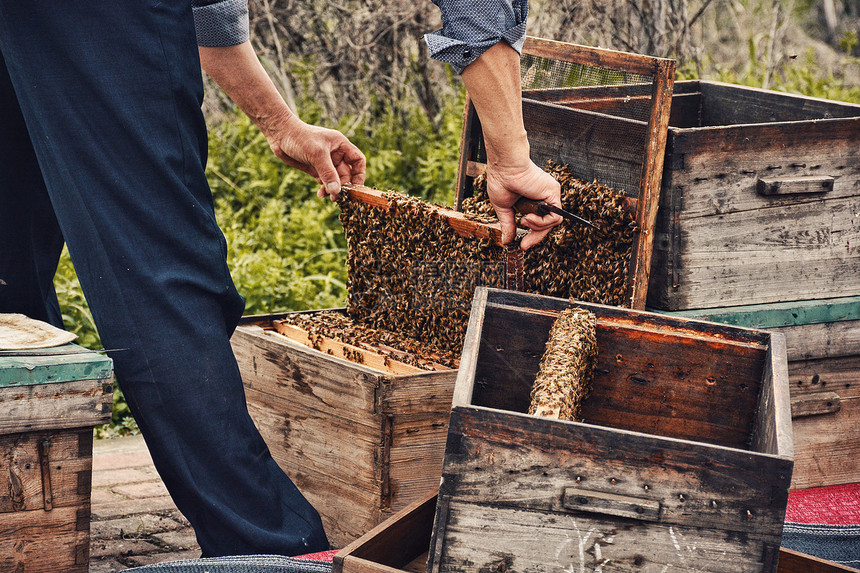 乡村农家传统手工劳动养蜂图片