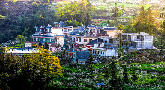 花园人家背景图片