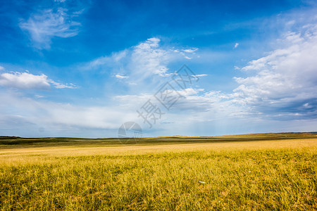内蒙牧场内蒙草原背景