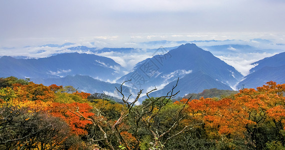 梵净山下秋色高清图片