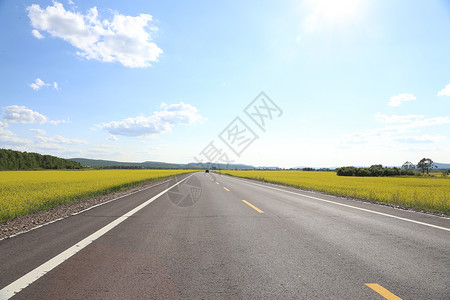 根河草原花海公路背景图片