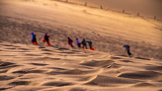 敦煌沙漠骆驼酒泉市高清图片