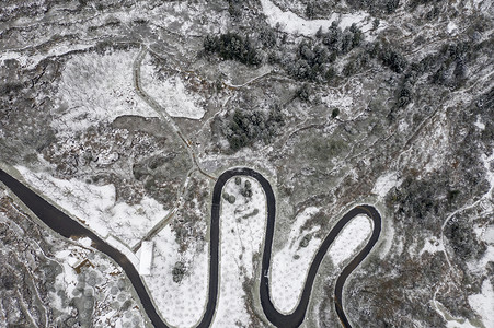 雪红果冬日景色背景