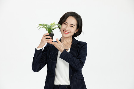 商务女性白领拿盆栽背景图片