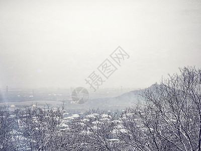 雪后的佘山图片