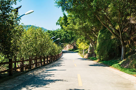 厦门植物园景区内的环山公路高清图片