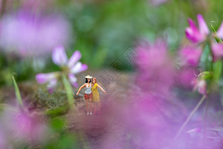 紫云英花朵中的自拍微距小人背景图片