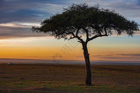 非洲草原日落背景图片
