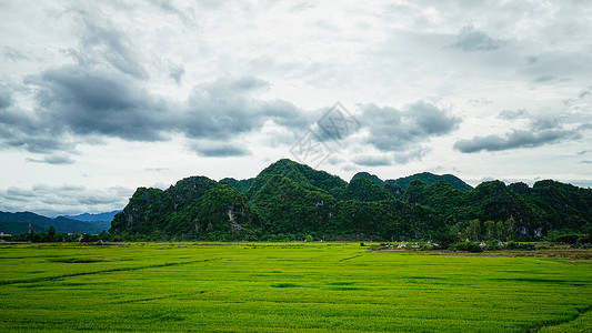 越南农村越南喀斯特地貌山间田野背景