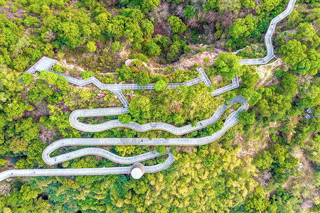 福建福州城市森林步行栈道背景图片