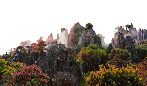 花草山石迷幻仙境高清图片