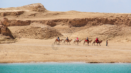 俯视绿洲水上雅丹沙漠骆驼队背景