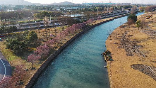 辰山植物园绿化小河背景图片