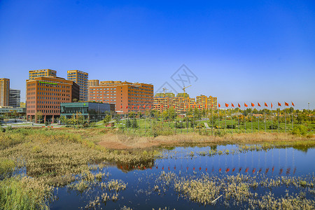 青岛中德生态园园区景观背景图片