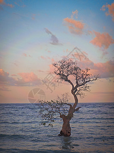 菲律宾马尼拉海景背景图片