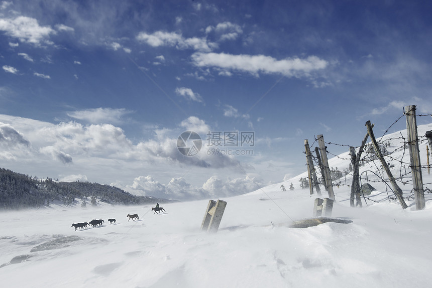 新疆高山牧场雪景图片