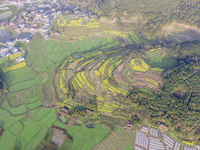 航拍田园梯田风光图片