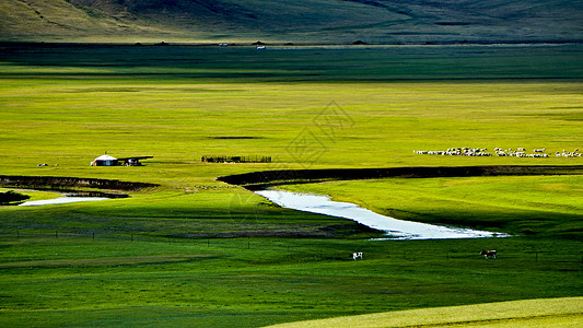 一望无际的草原呼伦贝尔大草原莫日格勒河牛羊成群背景