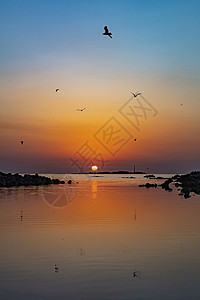 晚霞海面清晨海上日出时的海鸥背景
