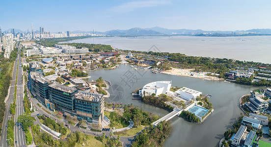 深圳湾建筑群深圳南山区欢乐海岸航拍背景