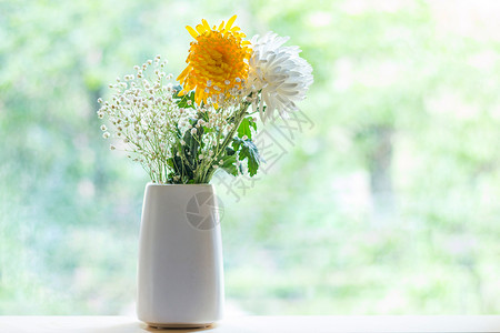 家居插花清明节菊花插花静物背景