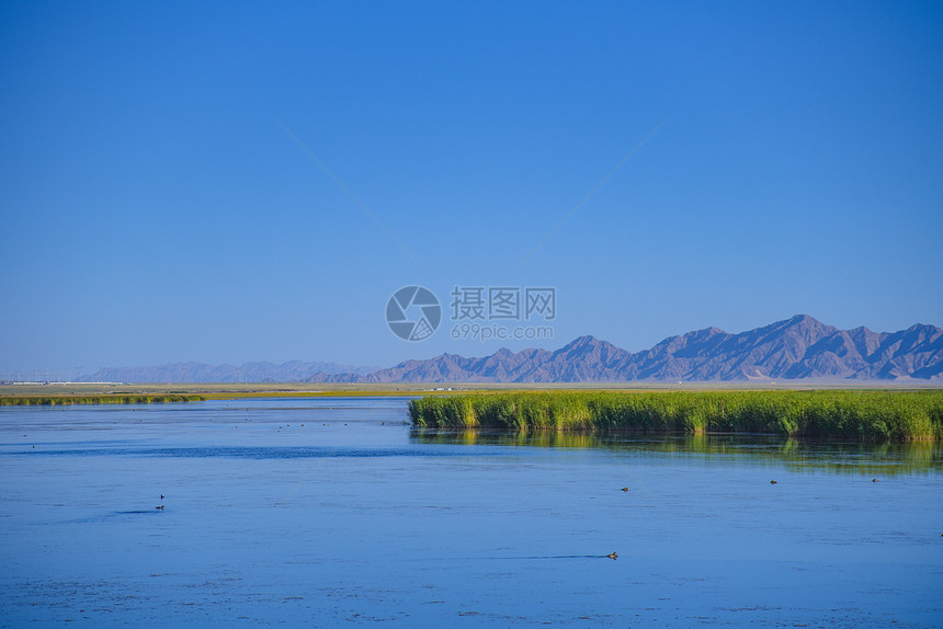 青海高原湿地风景图片