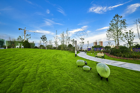 绿化草地城市小区环境图片背景