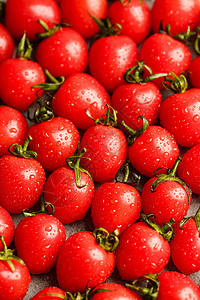 小西红柿圣果背景图片