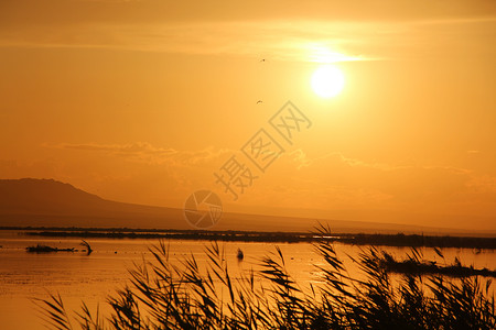 新疆海上魔鬼城湖边傍晚夕阳风光背景