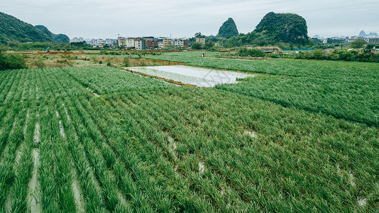 航拍春耕乡间农田郊区风景田园风光背景图片