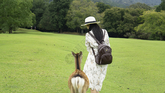 奈良小鹿女孩背影日本奈良公园旅游背景图片