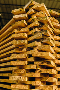 木材厂木材木头木材市场木业高清图片