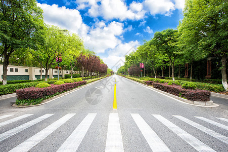 光明路城市林荫大道背景