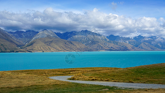 透明卡基塔河新西兰普卡基湖牛奶湖清晨背景